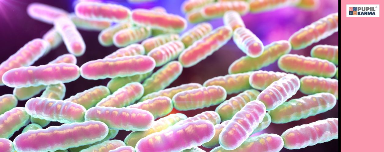 Prebiotyki pokarmem dla probiotyków. Zdjęcie z różowymi i fioletowymi formami probiotyków w powiększeniu jak spod mikroskopu. Po prawej różowy pas i logo pupilkarma. p